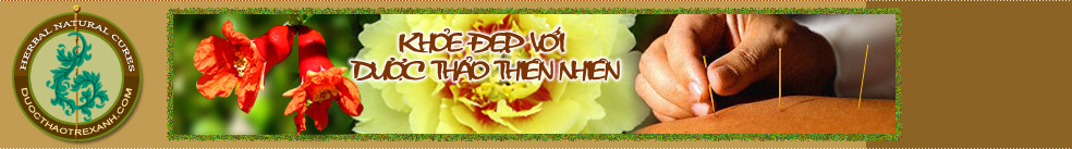 Herbal Natural Cures